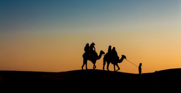 旅游、科技、制造业：中国企业闯入沙特
