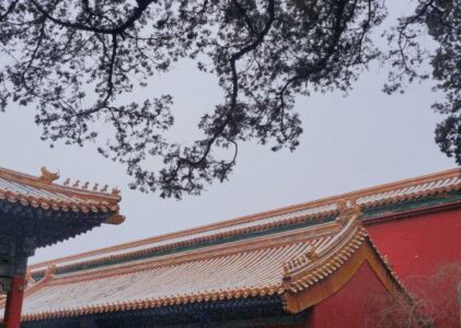 RCU将在北京展会上展示埃尔奥拉的奇迹