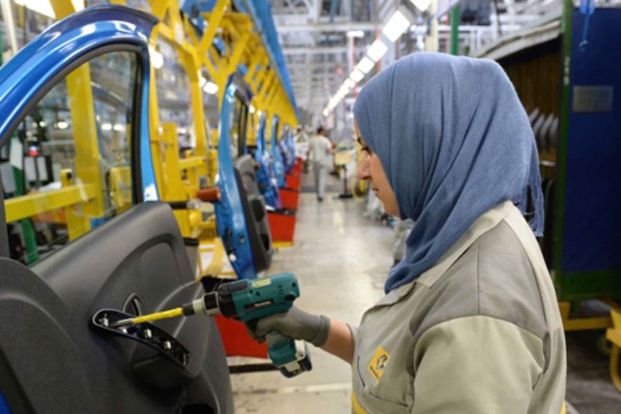 大业股份(603278)强势涨停原因与持续性分析