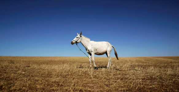 摩洛哥放大招：2030年六成饮用水靠海水淡化，干旱危机迎来转机