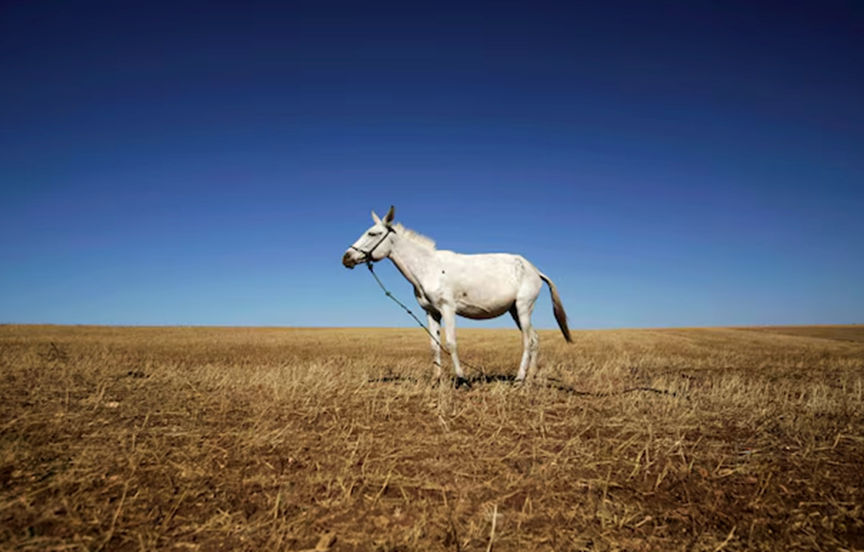 摩洛哥放大招：2030年六成饮用水靠海水淡化，干旱危机迎来转机