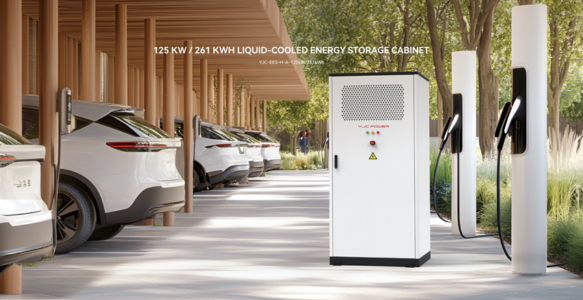 这家中国企业打算把新能源汽车电池厂建到突尼斯