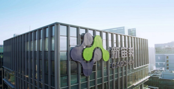 2.6亿美元！中国上市公司锂电材料生产进军中东